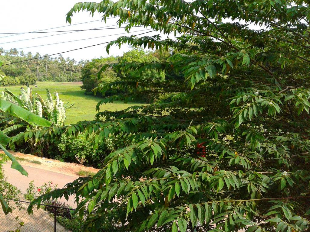 Green View Guest Mirissa Exterior photo